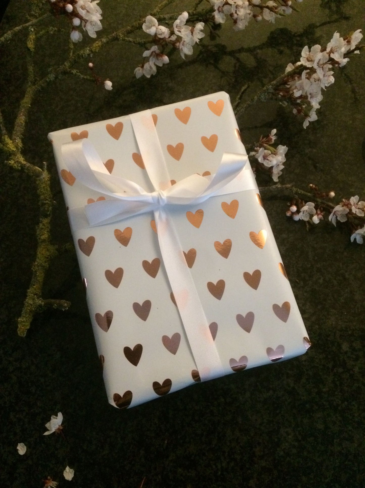 Vegan Letterbox Spa Gift Set wrapped